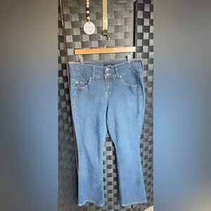 Woman’s Torrid Jeans Size 14